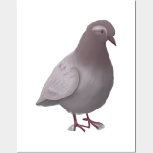 Cute Pigeon Drawing Posters and Art